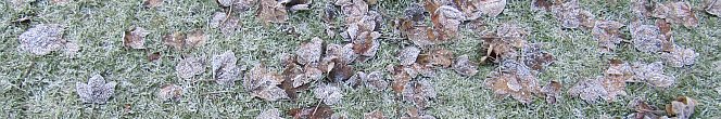 frozen ground after some real winter weather in 2010