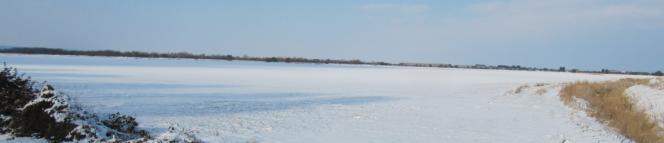 the icy wastes of Lincolnshire en route to Skeggy