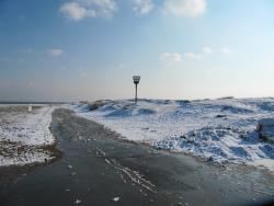 Spot the tourist - the icy windswept wastes of Skegness sea front - a terrain ruled by the donkey in summer