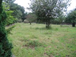 The paddock at the Red Lion Inn in Redbourne Lincolnshire used to hold the horse that pulled the fire engine