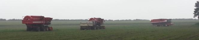 3 pea viners in action with attendant tractor and hopper in fields near Manton in Lincolnshire