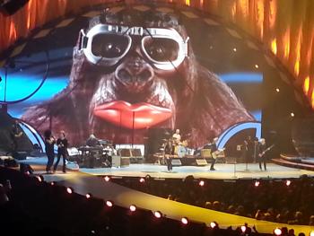 rolling stones gorilla - you know it makes sense