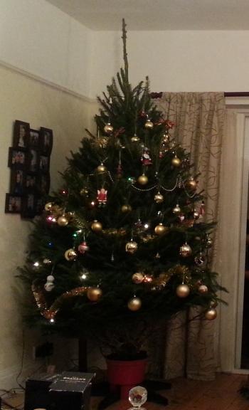 Xmas tree from Fillingham