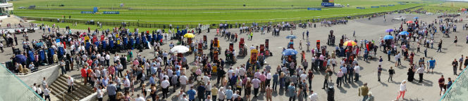 newmarket racecourse