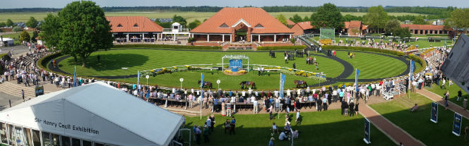 newmarket parade ring