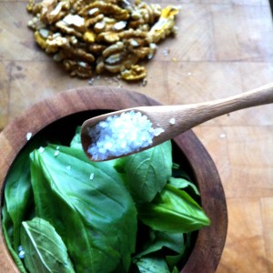 4. Place your basil into your mortar, and add a 1/2 teaspoon of coarse sea salt (for taste, of course, and to aid in the grinding).
