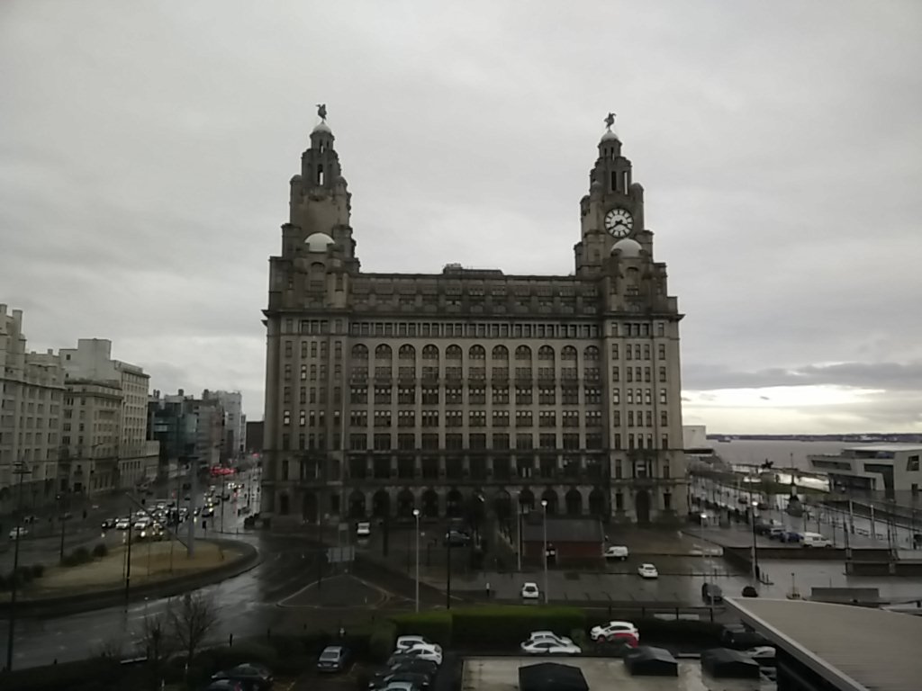 liver building