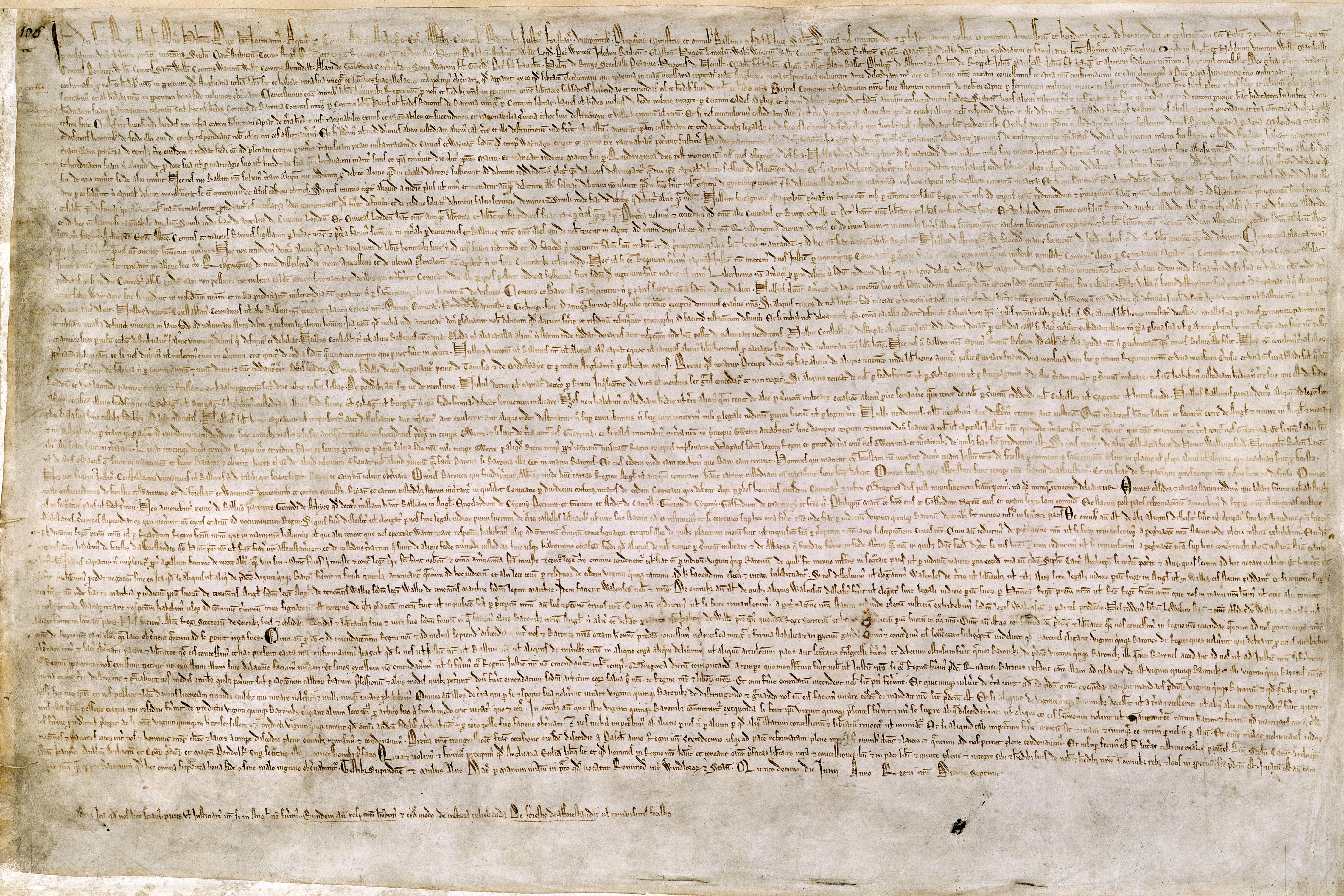 magna carta privacy rights