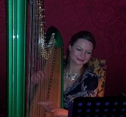 Eleanor Turner - internationally renowned harpist entertains at the Timico management dinner