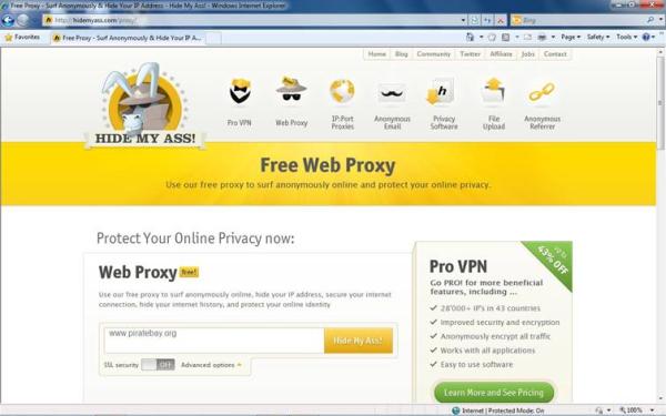 Enter Pirate Bay URL