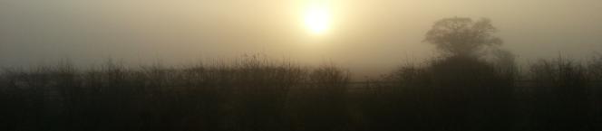 early morning sun in December in Lincolnshire