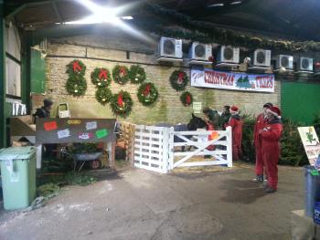 Christmas tree barn at Fillingham Trees