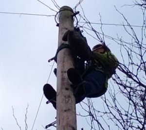 openreach engineering visit - up a pole