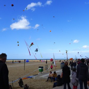 Kites and Kites and Kites!