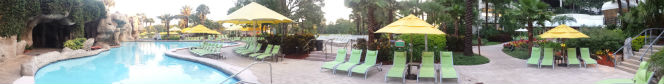 pool at Hyatt Regency Grand Cypress